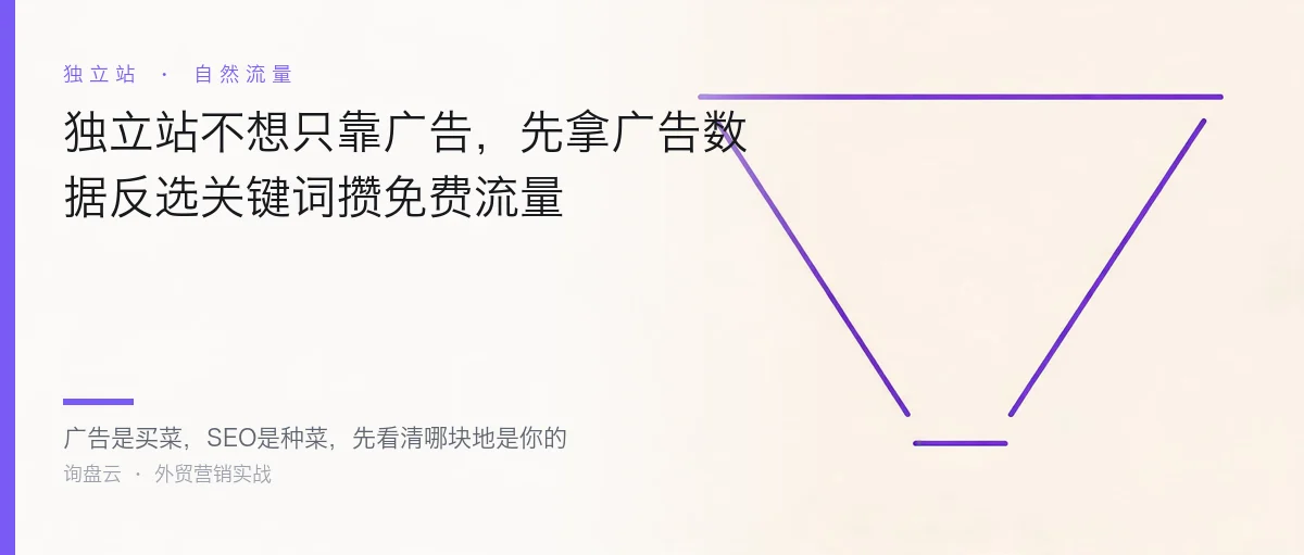 独立站不想只靠广告,先拿广告数据反选关键词攒免费流量